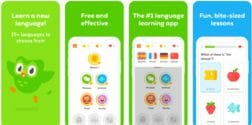 Работает ли duolingo без интернета