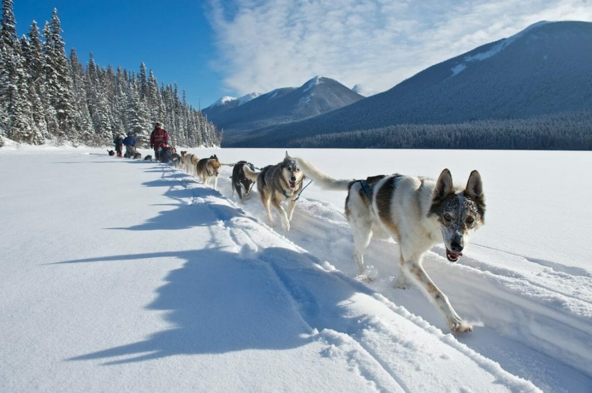 красота Канады, природа Канады, фотографии Канады, снег
