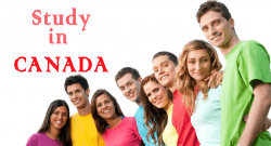 студенческая виза в Канаду, почему могут отказать в визе