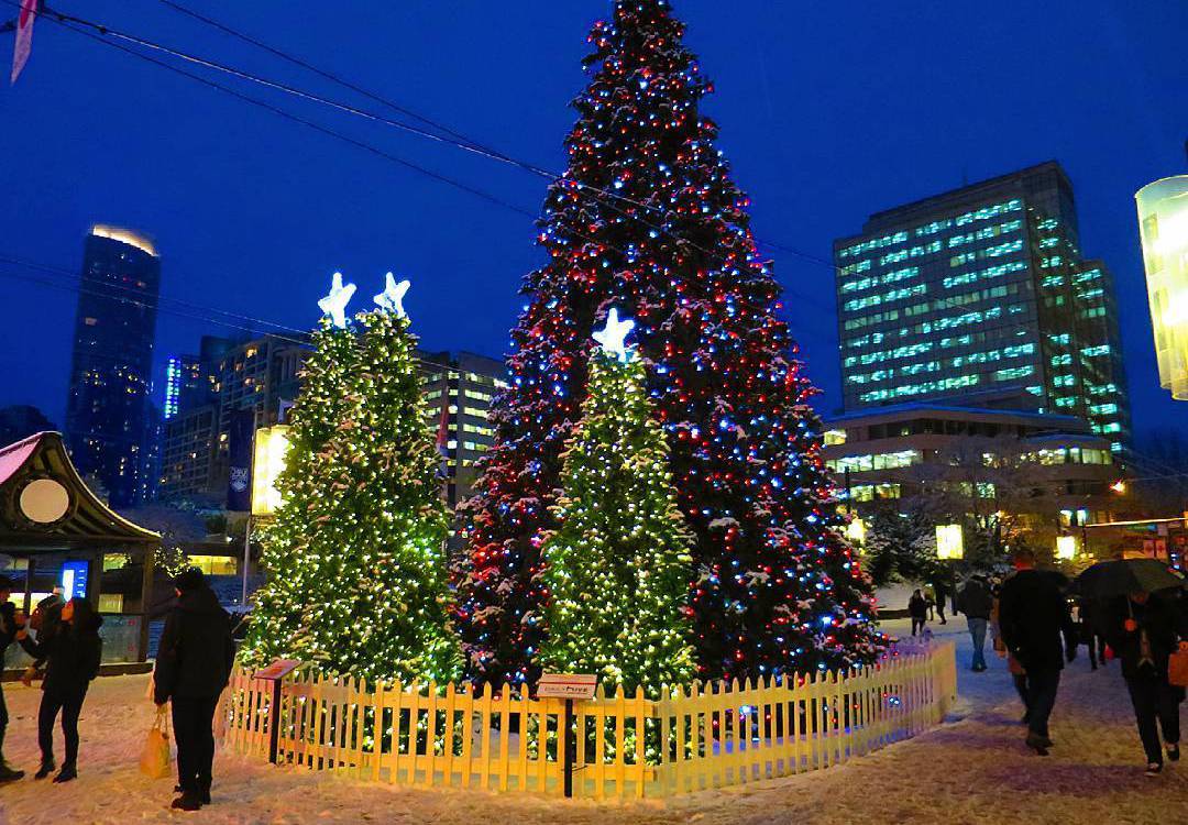 Robson Square, рождество в Ванкувере, главная елка Ванкувера