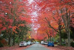 Ванкувер осенью