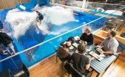 ресторан oasis surf в Канаде