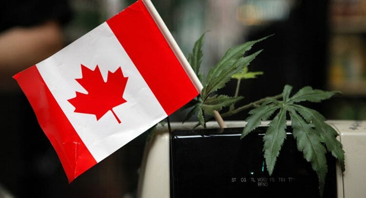 правила употребления марихуаны в Канаде