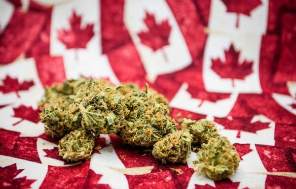 Канада марихуана