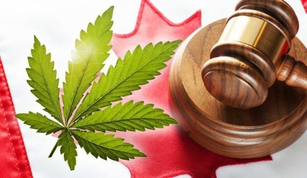 разрешена в канаде марихуана