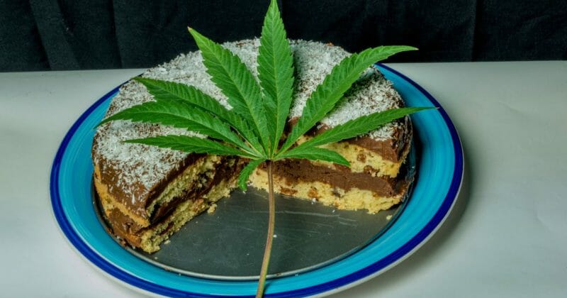 cannafood