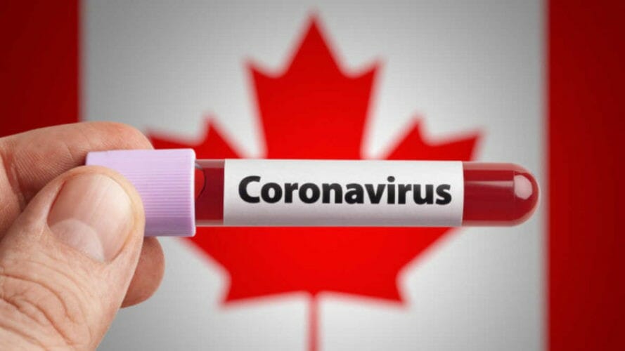 коронавирус в канаде