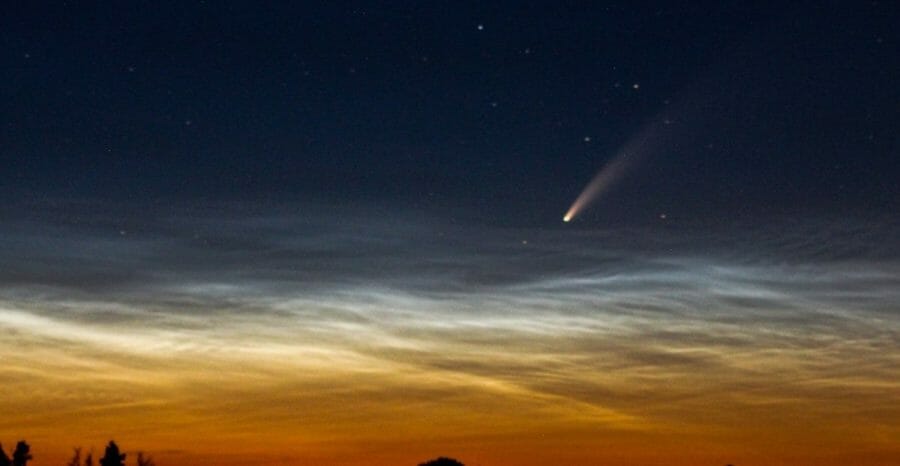 комета neonwise