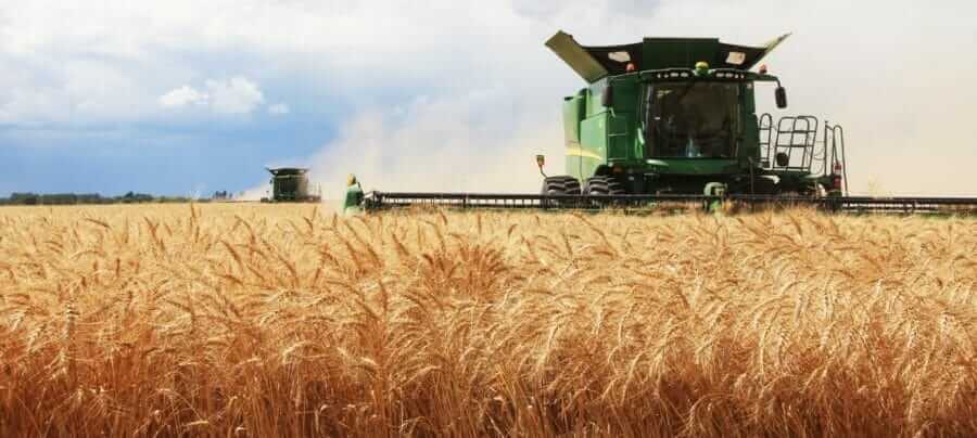 как житель канадской провинции саскачеван смог спасти себе жизнь. Смотреть фото как житель канадской провинции саскачеван смог спасти себе жизнь. Смотреть картинку как житель канадской провинции саскачеван смог спасти себе жизнь. Картинка про как житель канадской провинции саскачеван смог спасти себе жизнь. Фото как житель канадской провинции саскачеван смог спасти себе жизнь как житель канадской провинции саскачеван смог спасти себе жизнь. Смотреть фото как житель канадской провинции саскачеван смог спасти себе жизнь. Смотреть картинку как житель канадской провинции саскачеван смог спасти себе жизнь. Картинка про как житель канадской провинции саскачеван смог спасти себе жизнь. Фото как житель канадской провинции саскачеван смог спасти себе жизнь