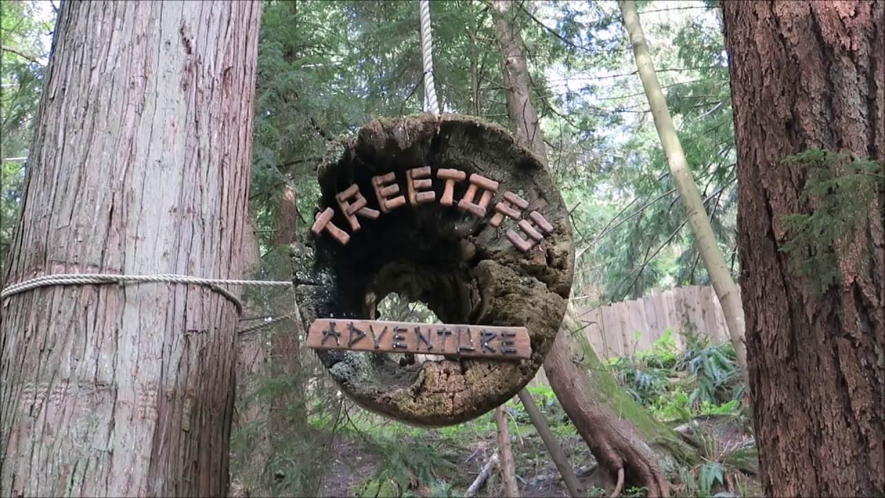 Treetops Adventure