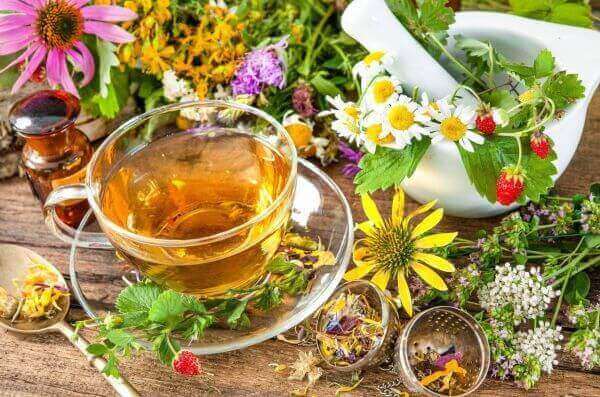 Clinical Herbal Therapist & Dibrova Health