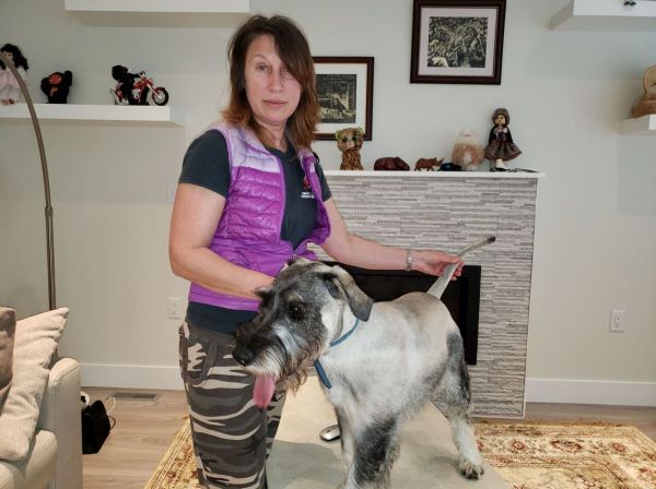 Tri Cities Dog Grooming