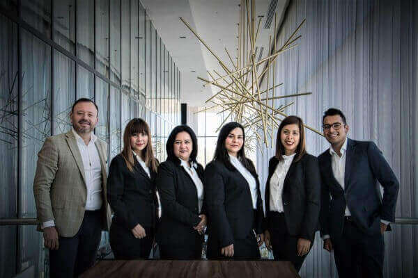 Firebird Consultants Group