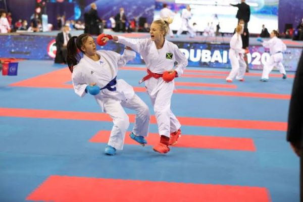 Hayabusa Karate