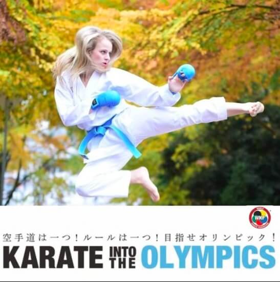 Hayabusa Karate
