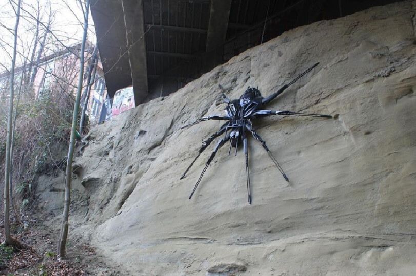 паук на стене ванкувер