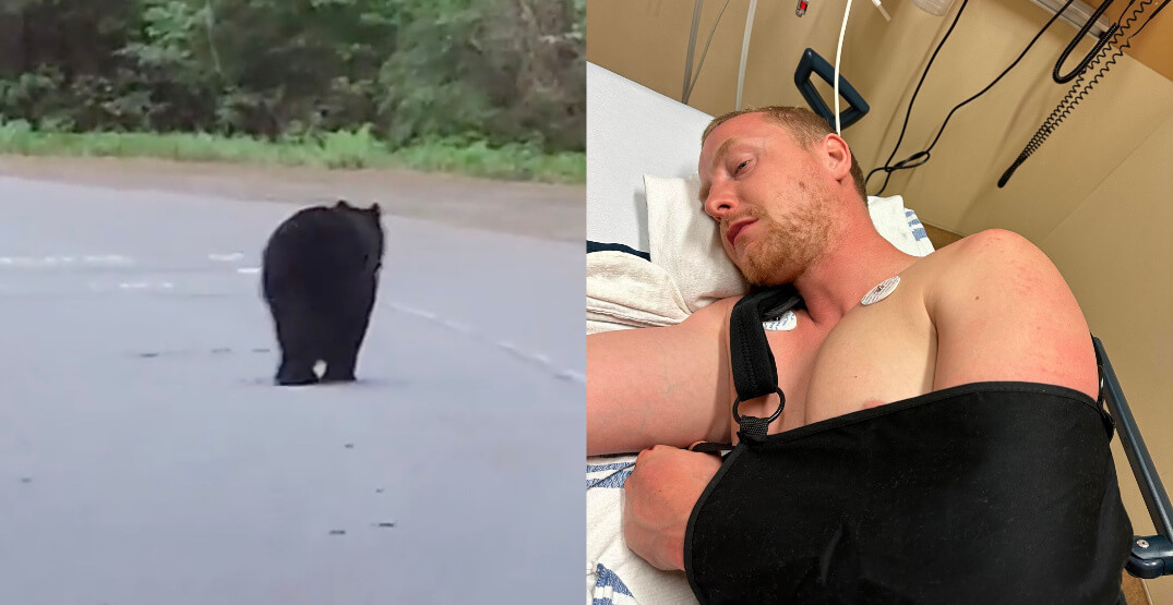 Велосипедист из Ванкувера врезался в медведя