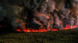 Причины большинства лесных пожаров в Канаде
