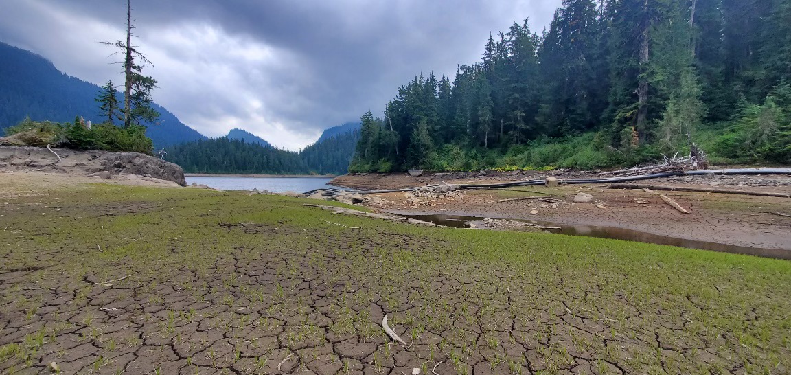 В Британской Колумбии предупреждают о летней засухе