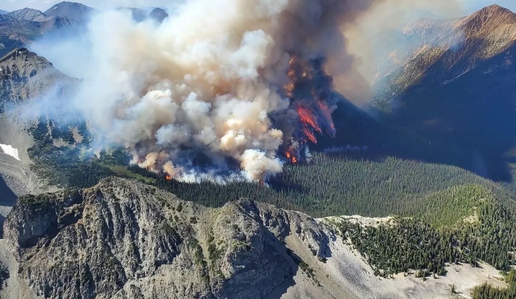 пожары леса канада