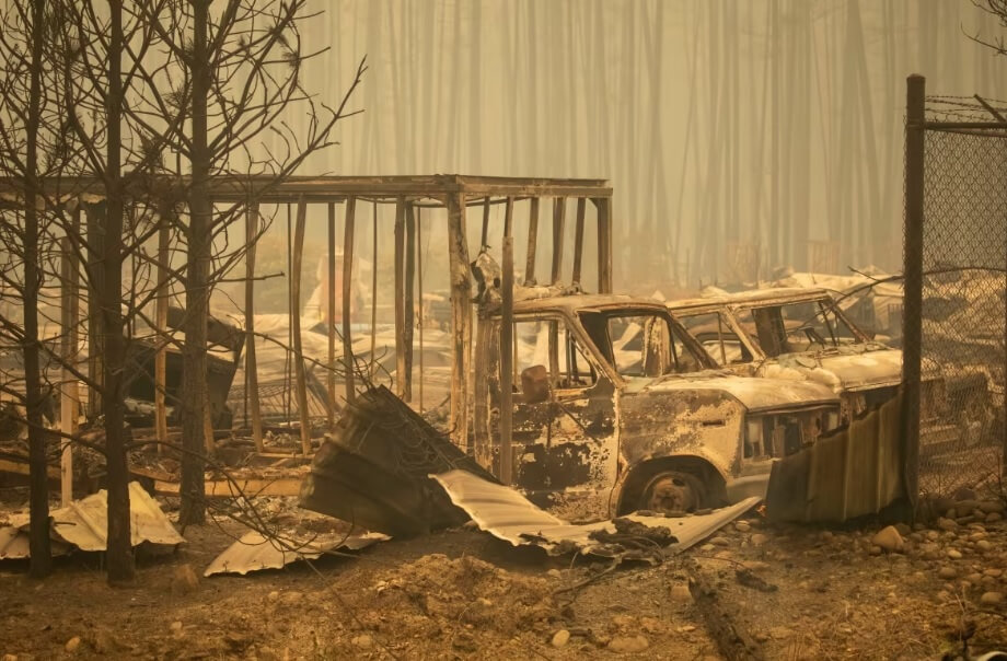 последствия лесного пожара