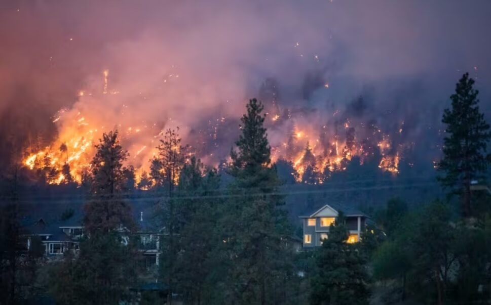 сезон лесных пожаров 2023