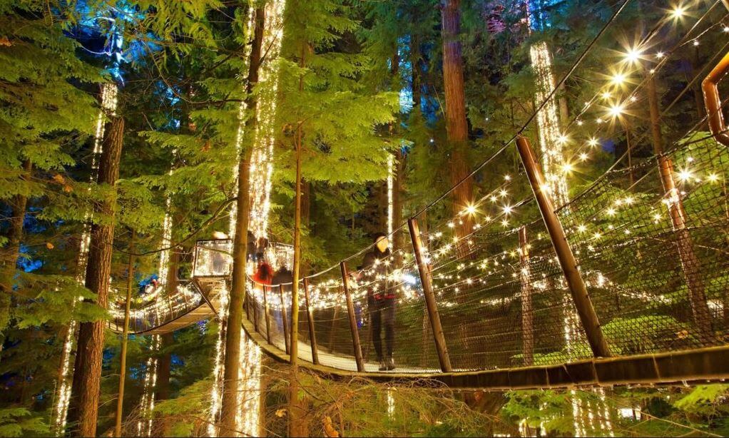 Canyon Lights at Capilano Suspension Bridge Park