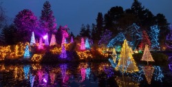 VanDusen Festival of Lights