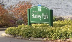 Неизвестный напал на женщину в Стэнли-парке