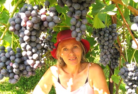 Tetiana - Обрезка винограда для рекордно крупных гроздей и ягод