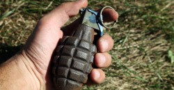 В городском парке Ванкувера была найдена граната