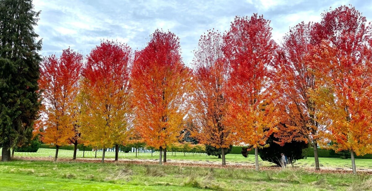 Mountain View Cemetery