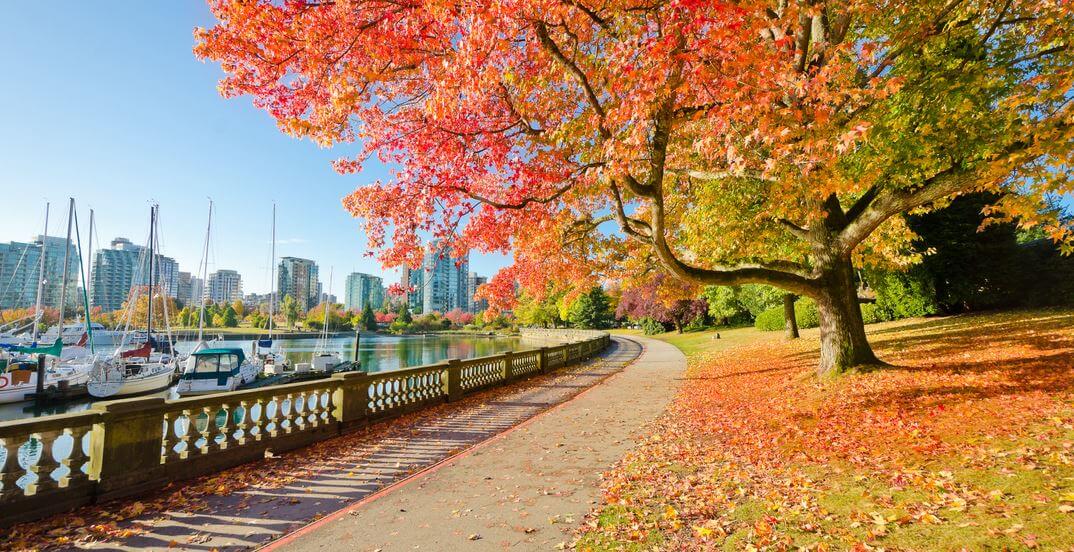 Stanley Park Seawall