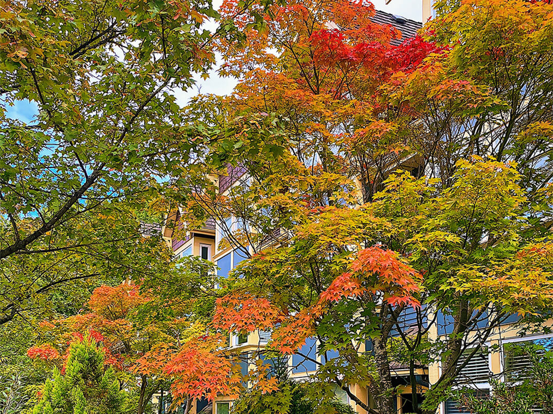 West 10th Avenue and Yukon Street