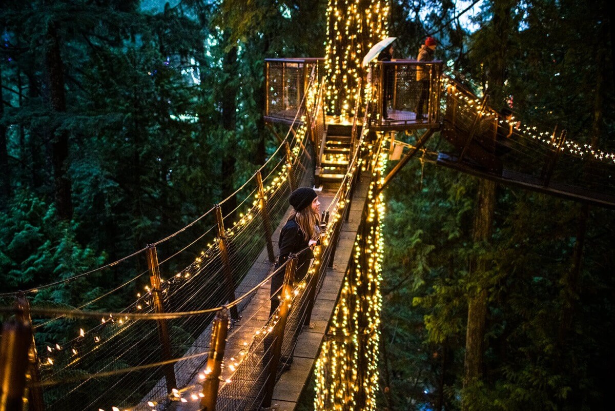 Canyon Lights at Capilano Suspension Bridge