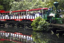 Stanley Park Train