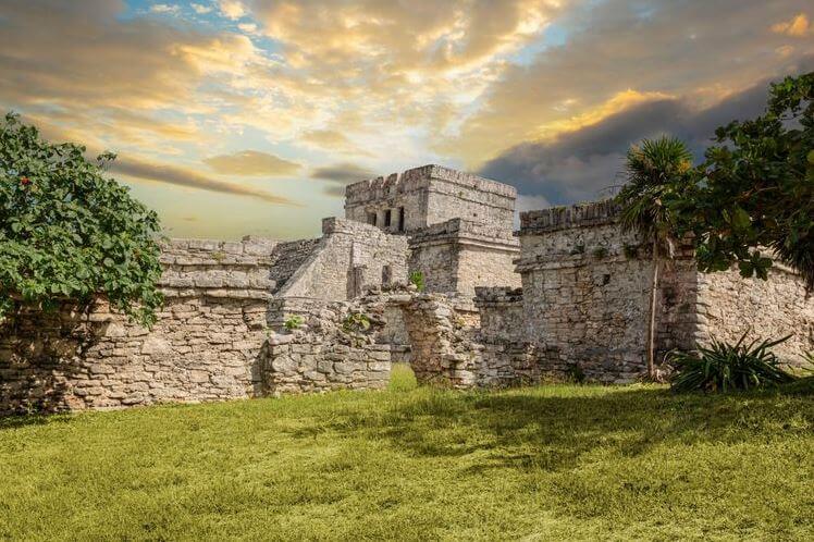 Tulum Times Tulum Times