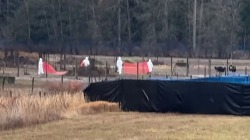 Трагедия на ферме в Британской Колумбии