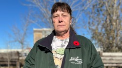 Коллапс в системе здравоохранения Канады