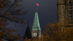 Заявлений индийских студентов