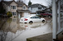 Мэр Росс Сименс критикует федеральное правительство за наводнение