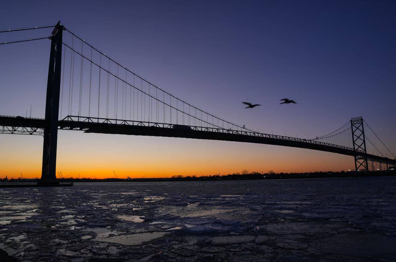 Пара канадских гусей