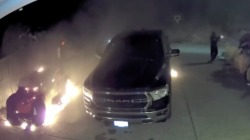 Канадское агентство пограничных служб CBSA и Совет по беженцам IRB