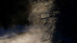 Ледяной ветер и снег в канадской провинции, иллюстрация экстремального похолодания в декабре