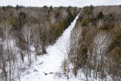 Офицеры RCMP патрулируют заснеженный лес на границе Канады и США