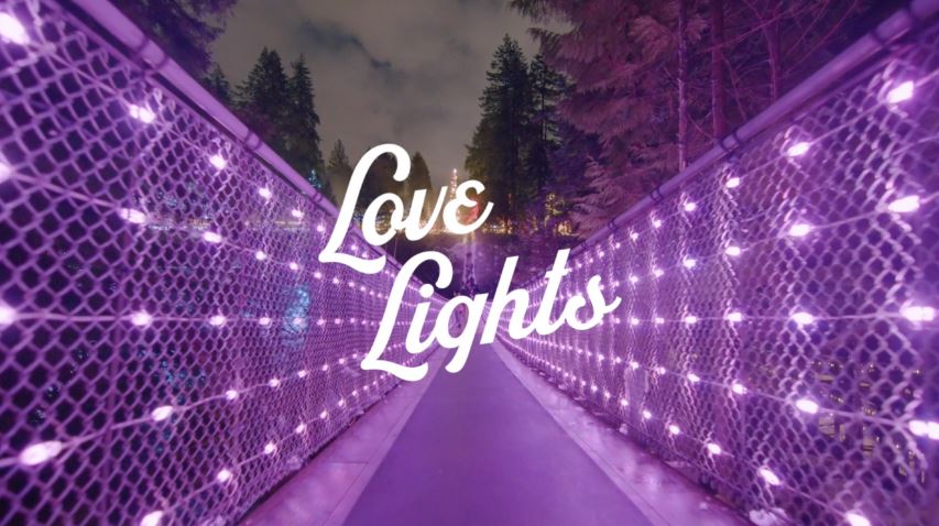 Love Lights at Capilano Bridge Park Love Lights at Capilano Bridge Park