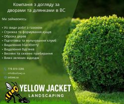 Alex Niezhenskyi - компания по ухаживанию за дворами и участками