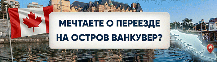 Дмитрий Локтев 750x250