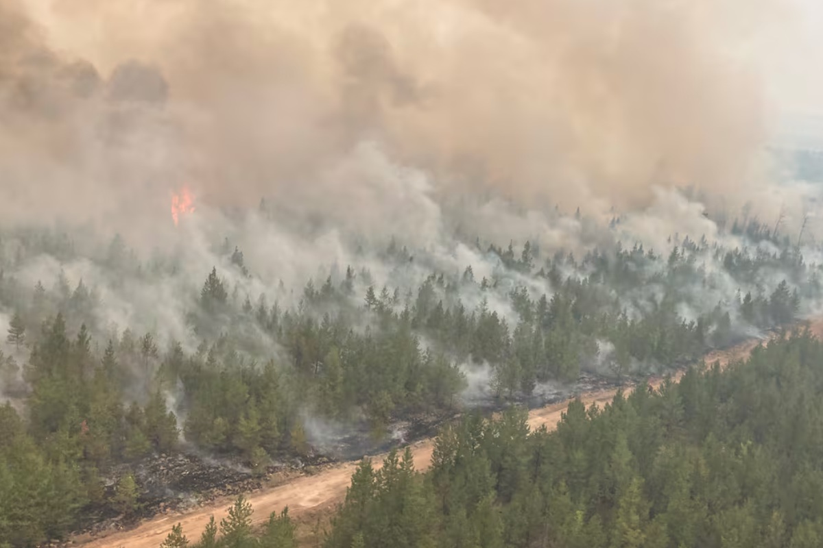 Aerial view of a wildfire in a pine forest with thick smoke and a dirt road cutting through the flames in the foreground and background.