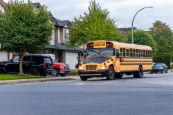 Yellow school bus driving down a residential street with parked cars and green trees nearby